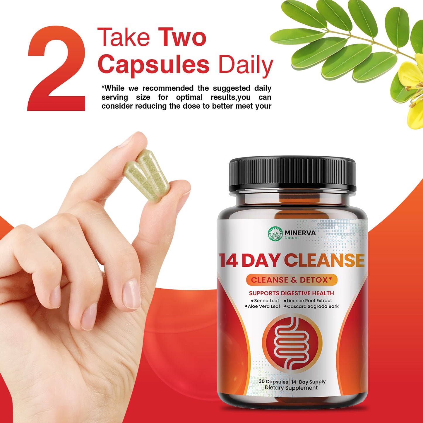 Minerva Nature 14 Day Cleanse